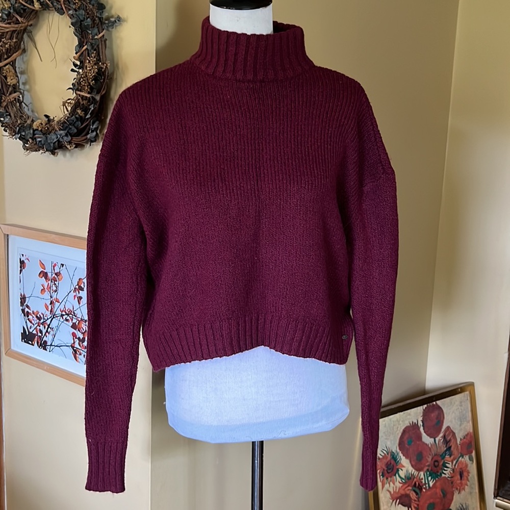 AMERICAN EAGLE OUTFITTERS Size XS Mock Turtleneck Crop Pullover Wine Red $79 NEW